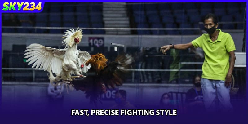 Fast, precise fighting style