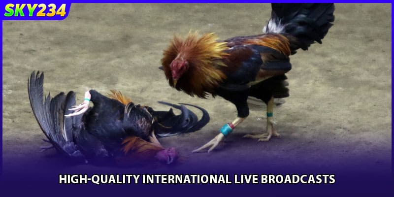High-quality international live broadcasts