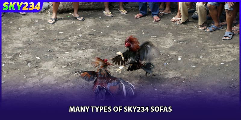 Many types of Sky234 sofas