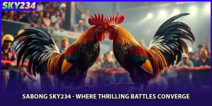 Sabong Sky234 - Where Thrilling Battles Converge