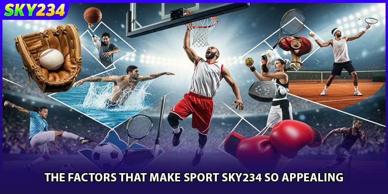 The factors that make Sport Sky234 so appealing.