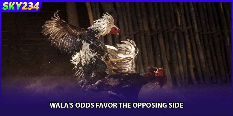 Wala's odds favor the opposing side.